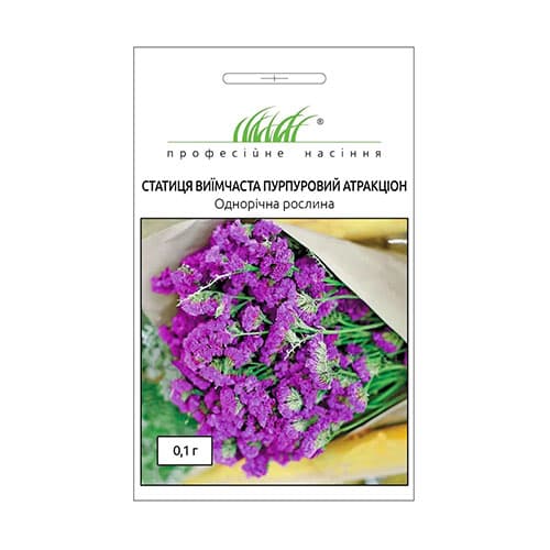 Статиця Пурпуровий атракціон Професійне насіння зображення 1 артикул 72556