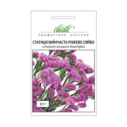 Статиця Рожеве сяйво Професійне насіння зображення 1 артикул 72557