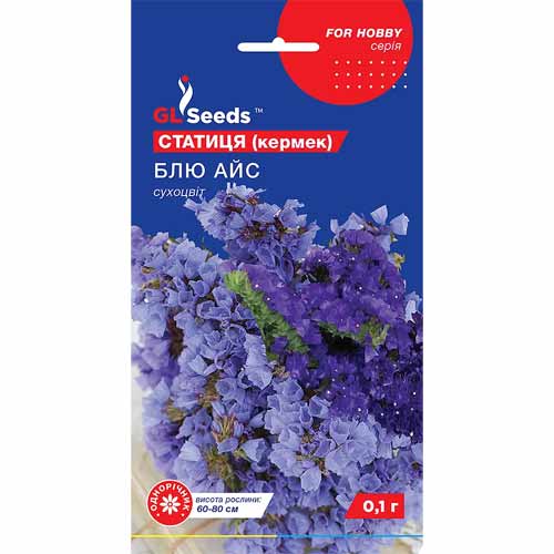 Статиця (Кермек) Блю Айс GL Seeds зображення 1 артикул 85874