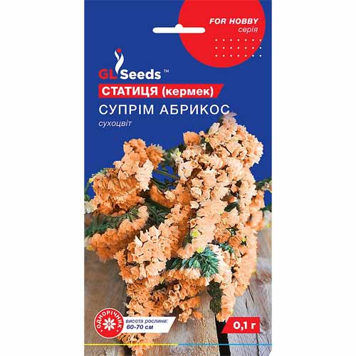 Статица (Кермек) Супрем Абрикос GL Seeds рисунок 1 артикул 85875