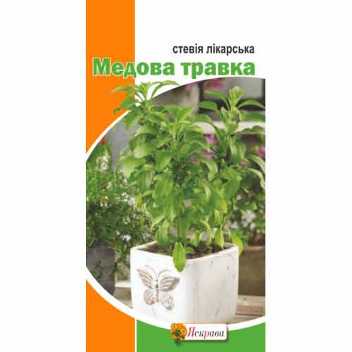 Стевия лекарственная Медовая травка Яскрава рисунок 1 артикул 87503