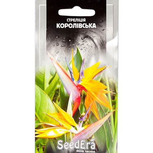 Стреліція королівська Seedera зображення 1 артикул 66235