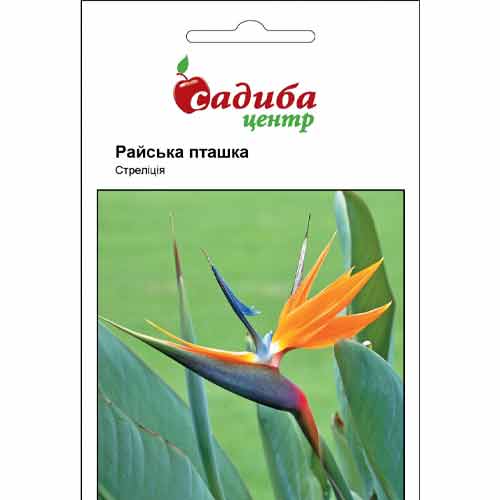 Стрелиция королевская Райская птица Садыба центр рисунок 1 артикул 89695