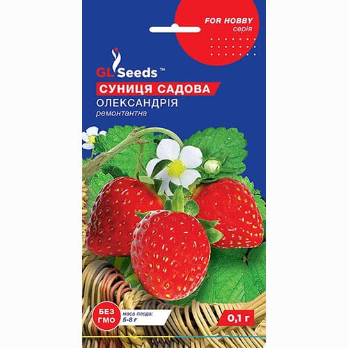 Земляника Александрия GL Seeds артикул фото 1 Земляника Александрия GL Seeds рисунок 1 артикул 99704