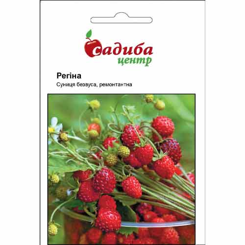 Суниця Регіна Садиба центр артикул фото 1 Суниця Регіна Садиба центр зображення 1 артикул 87718