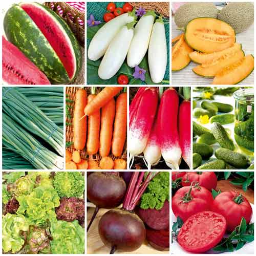 Суперпропозиція! Набір насіння Вкуснятина з 10 упаковок зображення 1 артикул 65371