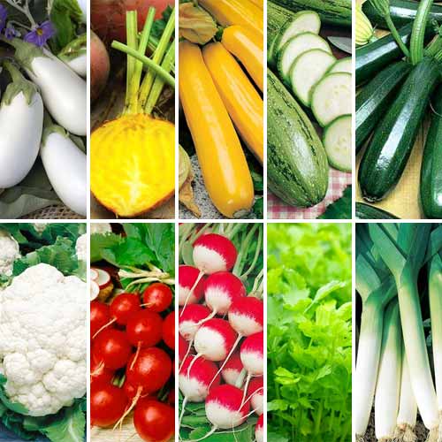 Суперпропозиція! Набір Біо насіння з 10 упаковок зображення 1 артикул 66867