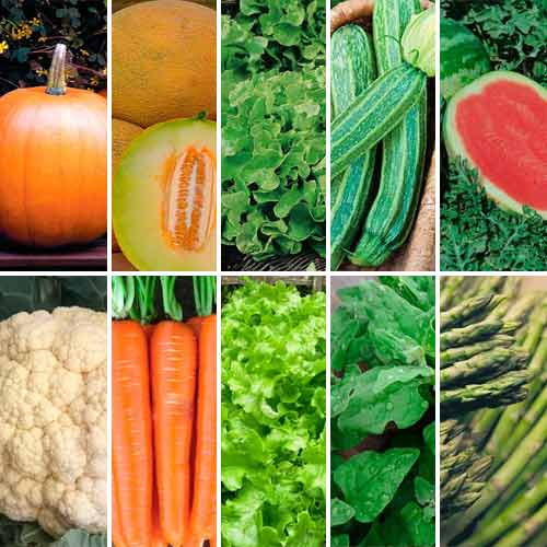 Суперпропозиція! Набір насіння Вітамінний з 10 упаковок зображення 1 артикул 65961