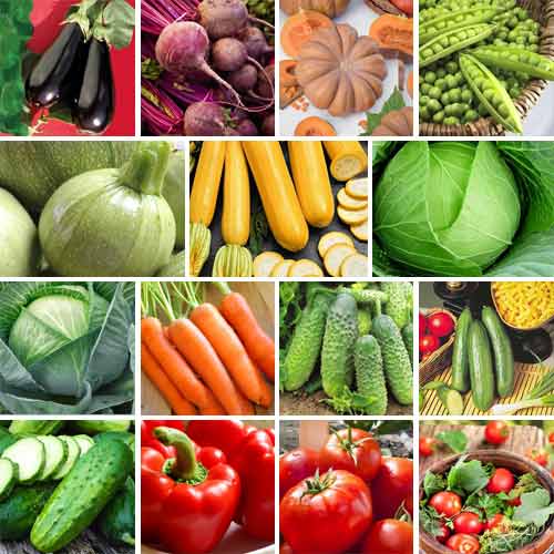 Суперпропозиція! Набір насіння Кулінарні шедеври з 15 упаковок зображення 1 артикул 65959