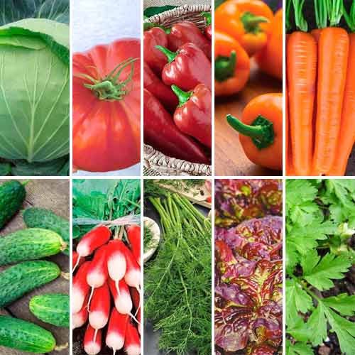 Суперпропозиція! Набір насіння Салатний мікс з 10 упаковок зображення 1 артикул 65960