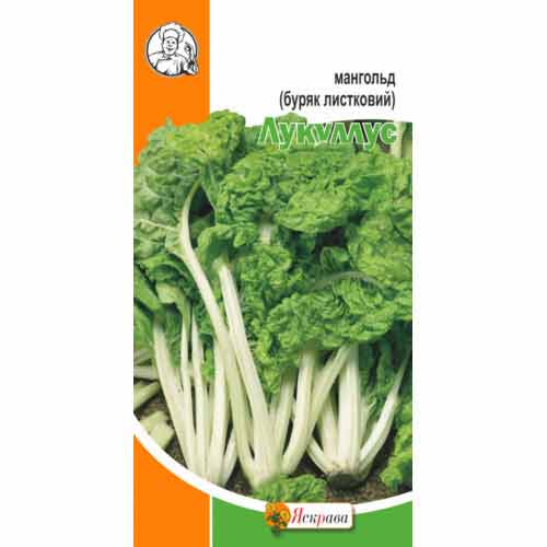 Мангольд (свекла листовая) Лукуллус зеленый Яскрава артикул фото 1 Мангольд (свекла листовая) Лукуллус зеленый Яскрава рисунок 1 артикул 72325