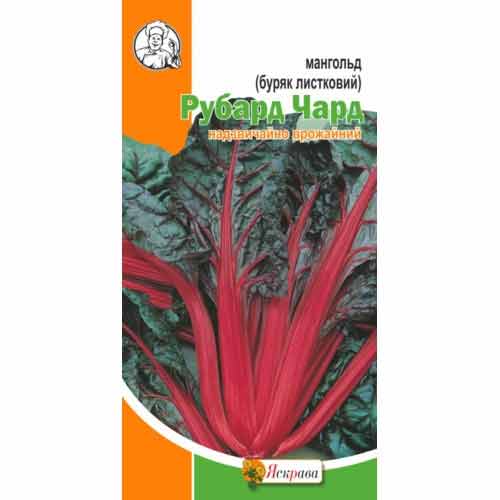 Мангольд (буряк листковий) червоний Рубард Чард Яскрава зображення 1 артикул 72326