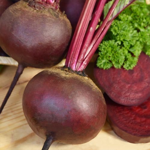 Свекла Обыкновенное чудо, семена рисунок 1 артикул 65356