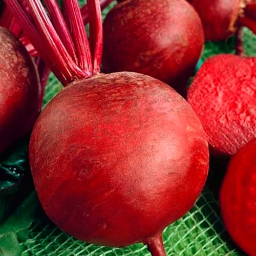 Свекла столовая Деликатесная, семена рисунок 1 артикул 70043