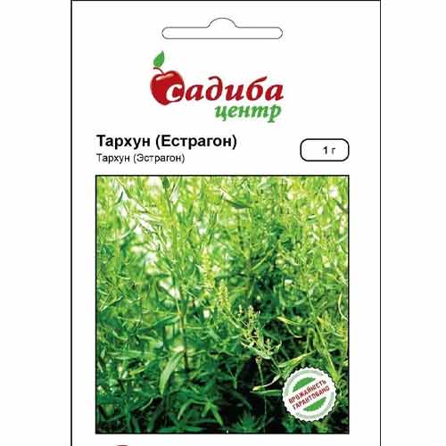 Тархун (естрагон) Садиба центр зображення 1 артикул 89699