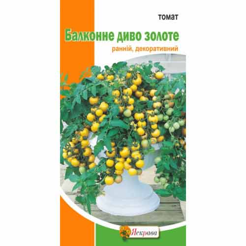 Томат Балконное чудо золотое Яскрава рисунок 1 артикул 72563