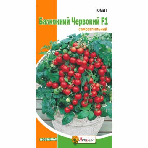 Томат Балконный красный F1 Яскрава рисунок 1 артикул 72566