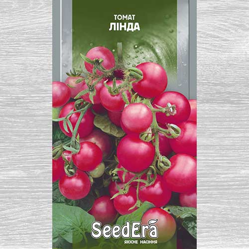 Томат Балконний Лінда зображення 1 артикул 77315