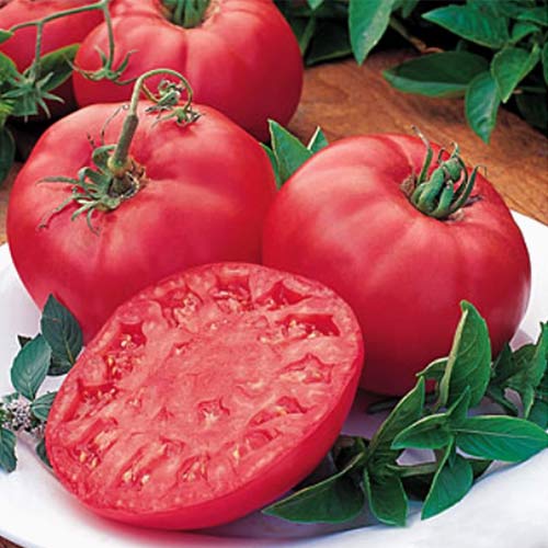 Томат Біф Пінк Бренді F1, насіння зображення 1 артикул 65360
