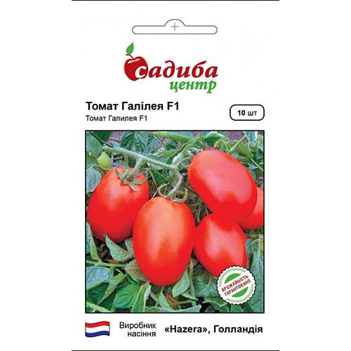 Томат Галілея F1 Садиба центр зображення 1 артикул 89770