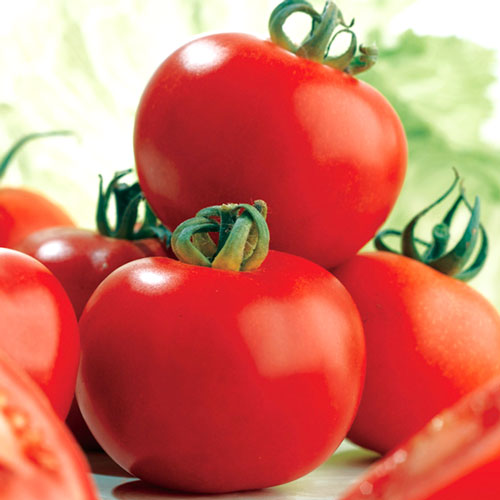 Томат Малиновый звон Seedera рисунок 1 артикул 65621