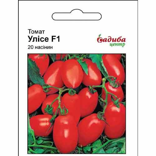 Томат Улісе F1 Садиба центр зображення 1 артикул 89775