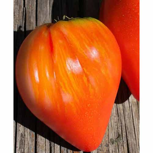 Томат Воловье Сердце полосатое Яскрава рисунок 1 артикул 87509