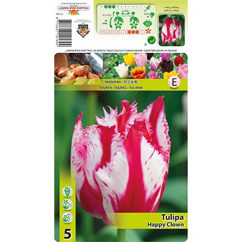 Тюльпан бахромчатый Хеппи Глоу рисунок 1 артикул 68398