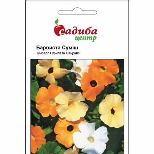 Тунбергия Красочная смесь, смесь окрасок Садыба центр рисунок 1 артикул 72782