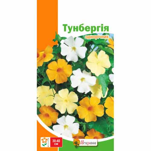 Тунбергия Яскрава рисунок 1 артикул 99804