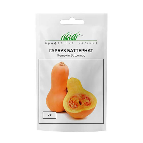 Гарбуз Баттернат Професійне насіння зображення 1 артикул 90324