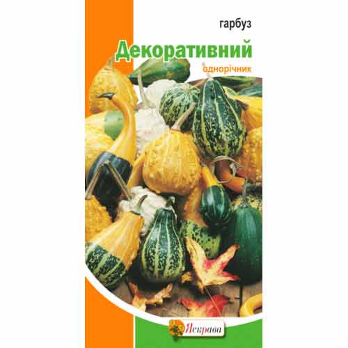 Гарбуз Декоративний, суміш забарвлень Яскрава артикул фото 1 Гарбуз Декоративний, суміш забарвлень Яскрава зображення 1 артикул 72119