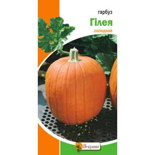 Тыква Гилея Яскрава рисунок 1 артикул 77169
