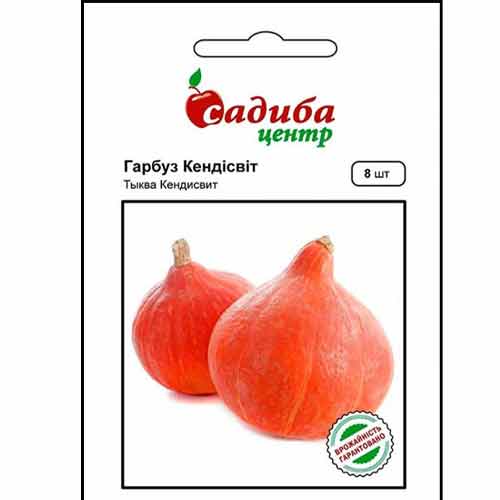 Гарбуз Кендісвіт Садиба центр зображення 1 артикул 89149