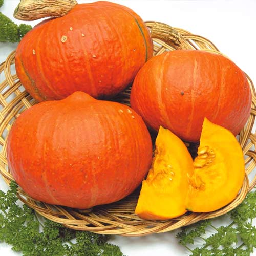 Тыква Лесной орех F1, семена рисунок 1 артикул 65364
