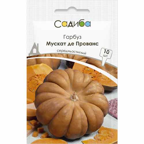 Гарбуз Мускат де Прованс Садиба центр зображення 1 артикул 89151