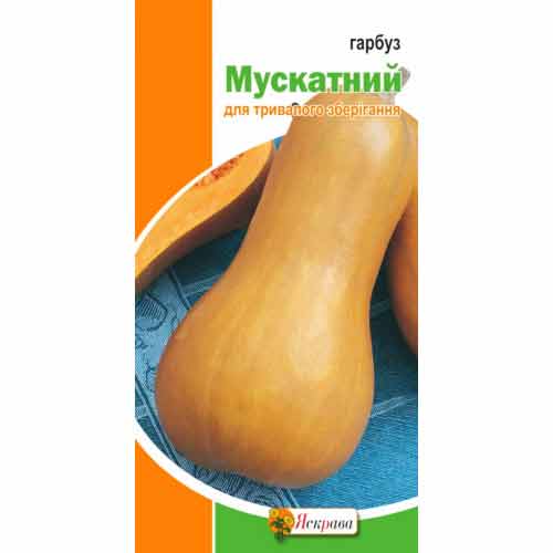 Гарбуз Мускатний Яскрава артикул фото 1 Гарбуз Мускатний Яскрава зображення 1 артикул 72121