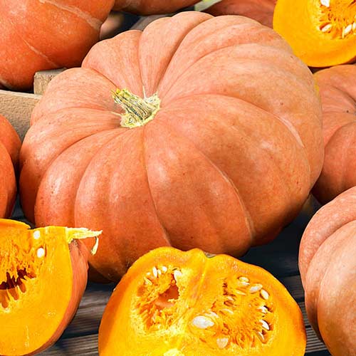 Гарбуз Паризький золотий, насіння зображення 1 артикул 70195