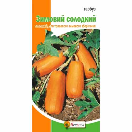Гарбуз Зимовий солодкий Яскрава зображення 1 артикул 72120