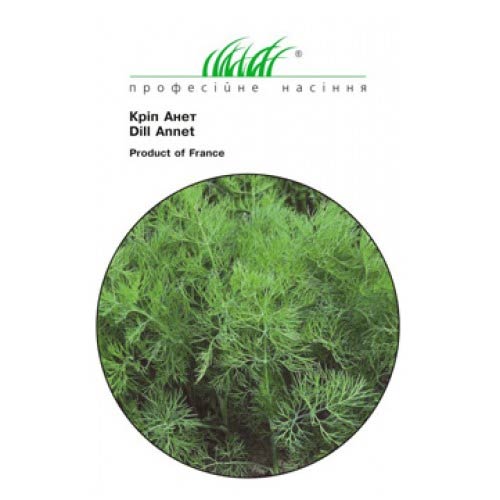 Укроп Анет Профессиональные семена рисунок 1 артикул 65489