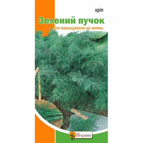 Укроп Зеленый пучок Яскрава артикул фото 1 Укроп Зеленый пучок Яскрава рисунок 1 артикул 72282