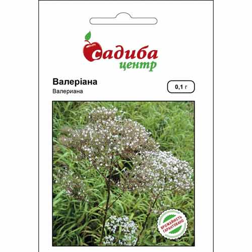 Валериана Садиба центр рисунок 1 артикул 87661