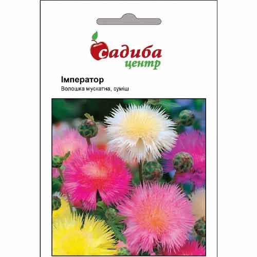 Волошка Імператор, суміш забарвлень Садиба центр зображення 1 артикул 72738