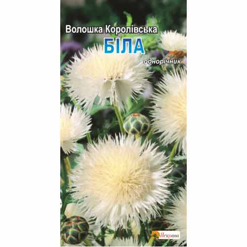 Василек Королевский белый Яскрава рисунок 1 артикул 72963