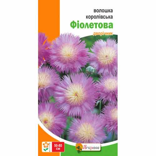 Волошка Королівська фіолетова Яскрава артикул фото 1 Волошка Королівська фіолетова Яскрава зображення 1 артикул 72966