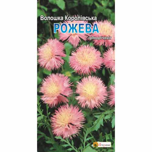 Василек Королевский розовый Яскрава рисунок 1 артикул 72965