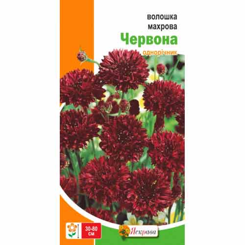 Волошка махрова червона Яскрава артикул фото 1 Волошка махрова червона Яскрава зображення 1 артикул 72967