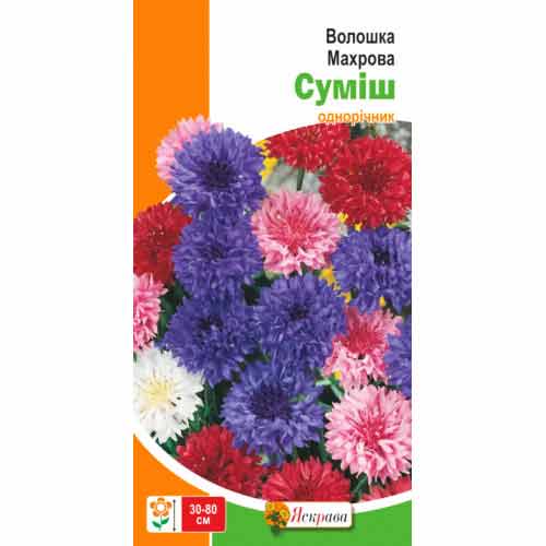 Волошка махрова, суміш забарвлень Яскрава артикул фото 1 Волошка махрова, суміш забарвлень Яскрава зображення 1 артикул 72968