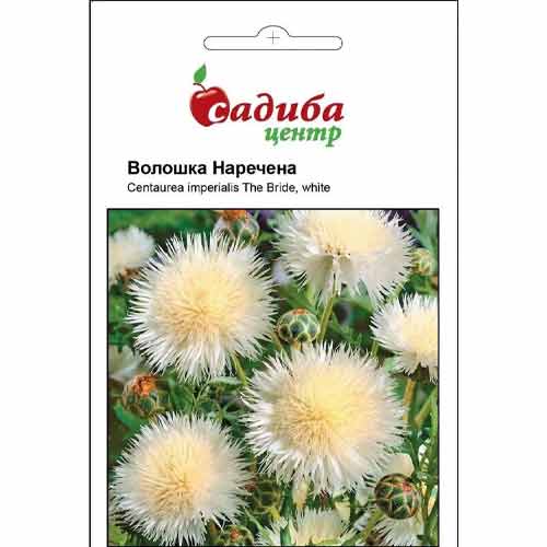 Василек Невеста Садыба центр рисунок 1 артикул 89138