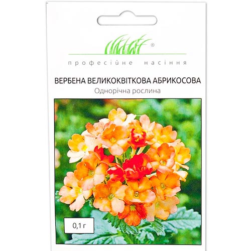 Вербена абрикосовая Профессиональные семена рисунок 1 артикул 90288